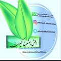 Logo saluran telegram amlashbeheshtgilan — 🌱املش بهشت گیلان☘️