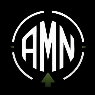 Логотип телеграм канала @amn_invest — AMN: Steam инвестиции📱