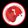 Logo saluran telegram amol6bahmanpress — ۶بهمن پرس
