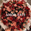 Логотип телеграм канала @amor_fatii2908 — 𝐀𝐌𝐎𝐑 𝐅𝐀𝐓𝐈
