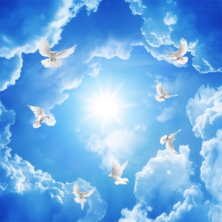 Логотип телеграм -каналу amordivinusabsolutus — Ковчег 🛳️🕊💓