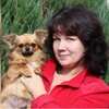 Логотип телеграм канала @amoreamorussio — питомник Аморе Аморуссио Щенки Породы Чихуахуа