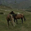 لوگوی کانال تلگرام amorfatliii — Amor fati✨