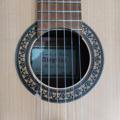 لوگوی کانال تلگرام amozeshguitarpop — آموزش گیتار پاپ و کلاسیک