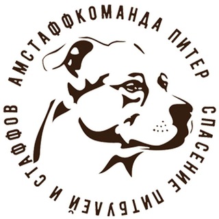 Логотип телеграм канала @amstaffkopiter — АмстаффКоманда Питер