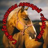 Логотип телеграм канала @amulethorse — Амулет-служба спасения лошадей