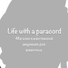 Логотип телеграм канала @amunizipara — Life with a paracord