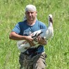 Логотип телеграм канала @amur_birds — Антон Сасин🐦Птицы Амура🐦