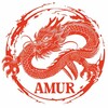Логотип телеграм канала @amurcargo — Доставка из Китая