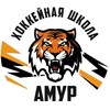 Логотип телеграм канала @amurschool27 — Amurschool27