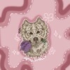 Logo of telegram channel amushelly — amu.shelly