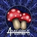 لوگوی کانال تلگرام amushrooms — 🍄 آمستردام ماشروم _ پرورش قارچ جادویی