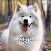 Logo of telegram channel amy_yuki_kazan — 🐾𝐒𝐡𝐚𝐠𝐠𝐲.𝐃𝐨𝐠𝐬🐾