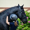 Logo of telegram channel an_dressage — 𝐀𝐧𝐢𝐱_𝐝𝐫𝐞𝐬𝐬𝐚𝐠𝐞 🌷