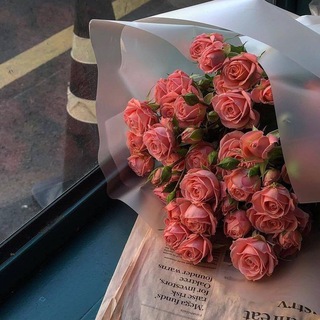Логотип телеграм канала @ana1farhana — ғᴀʀʜᴀɴᴀ💗