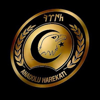 Telgraf kanalının logosu anadolu_harekati — Anadolu Harekâtı