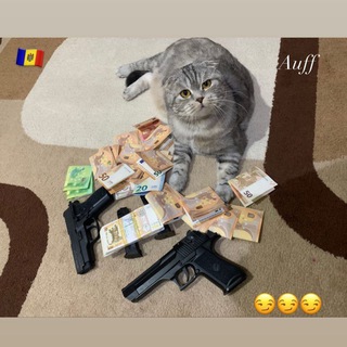 Логотип телеграм канала @analyticmd — Cash 💰 Moldova 🇲🇩