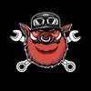 Логотип телеграм канала @anarchyhog — Свин Анархии 1% moto news
