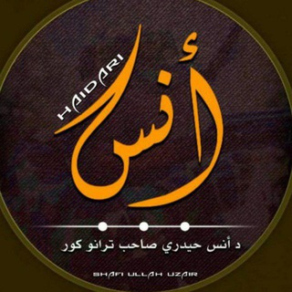 لوگوی کانال تلگرام anashaidari1 — انس حیدری