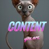 Логотип телеграм канала @anastasia_enkovskay — CONTENT you are