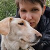 Логотип телеграм канала @anastasiacherevata — AnastasiaChere 🐶 Помощь животным!