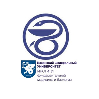 Логотип телеграм канала @anatifmb — (Нейро) Анатомия • Ифмиб