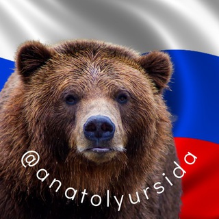 Логотип телеграм канала @anatolyursida — Анатолий Урсида