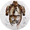 Логотип телеграм канала @anatomia_cheloveka — Анатомия человека