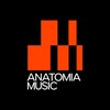 Логотип телеграм канала @anatomiamusic — ИМПРОВИЗАЦИЯ ПО BERKLEE | ОНЛАЙН-ШКОЛА АНАТОМИЯ МУЗЫКИ