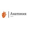 Логотип телеграм канала @anatomiavitae — Анатомия жизни