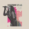 Логотип телеграм канала @anatomiazvukavocal — Анатомия звука