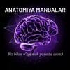 Telegram kanalining logotibi anatomiyamanbalar — ANATOMY STUDY