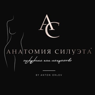 Логотип телеграм канала @anatomiyasilueta — Импланты | Пластическая Хирургия