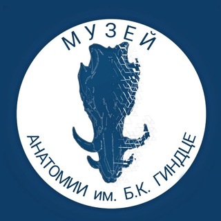 Логотип телеграм канала @anatomy_muz — Anatomy_muz 💀 Музей анатомии