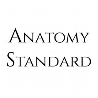 Telegram kanalining logotibi anatomy_standard — Anatomy standard