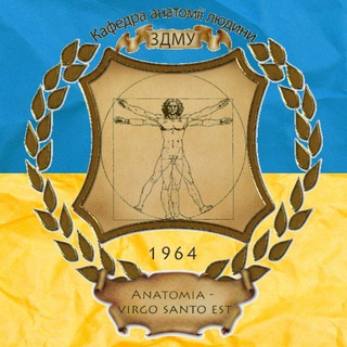 Логотип телеграм -каналу anatomy_zsmu — СНТ Кафедри Анатомії людини