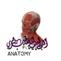 Logo saluran telegram anatomy_39 — قسم Anatomy للدفعة 39