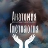 Логотип телеграм канала @anatomy_gistology — Анатомия | Гистология