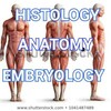टेलीग्राम चैनल का लोगो anatomybo — Anatomy and physiology
