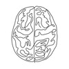 Logo of telegram channel anatomyfact1 — ANATOMY FACT