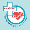 Logo saluran telegram anatomyhubs — ANATOMY HUBs