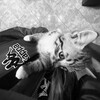 Логотип телеграм канала @ander_wonderland — страна чудес🥷🕸