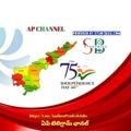 Telegram channel STUDYBIZZ JOBS & EDUCATION - AP logo