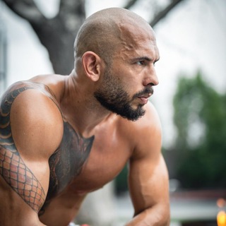 Logo of telegram channel andrew_tateofficia — Andrew Tate Official