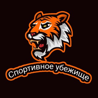 Логотип телеграм канала @andsn1 — Спортивное убежище☺️