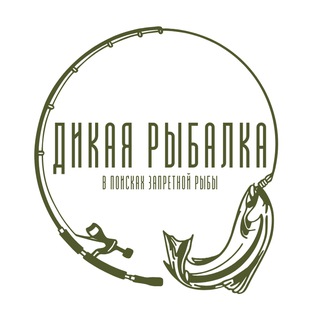 Логотип телеграм канала @andy_wild_fishing — Дикая Рыбалка
