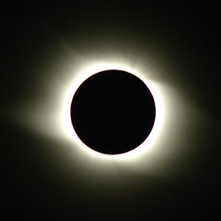 Логотип телеграм канала @andynetgallery — AndyNet Gallery