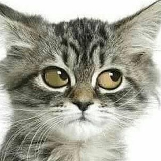 Логотип телеграм канала @anekdot_omar — Анекдоты Омар | 😇 | 😈 |