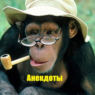 Логотип телеграм канала @anekdot555555 — Анекдоты 39 RU