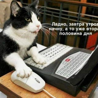 Логотип телеграм канала @anekimems — АНЕКДОТЫ | ЮМОР | МЕМЫ